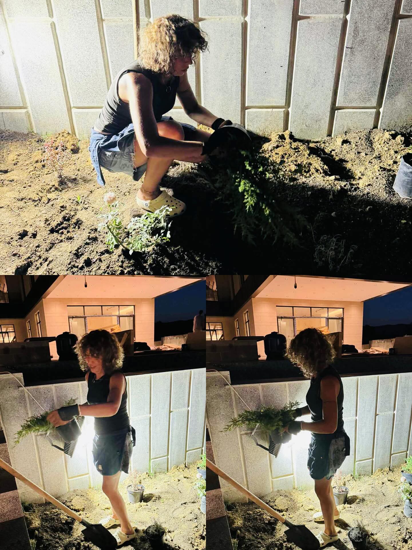 Nighttime Garden Planting